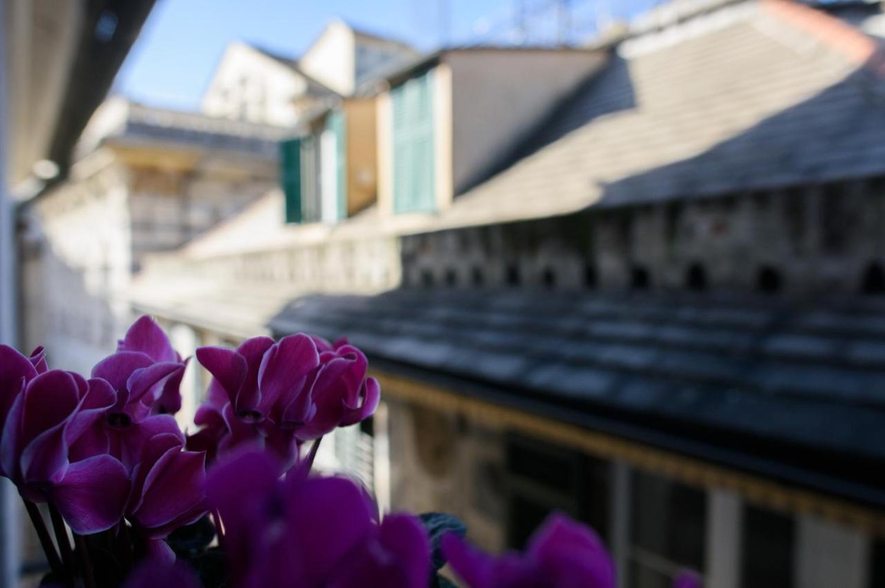 B&B Piccoli Leoni Genua Buitenkant foto